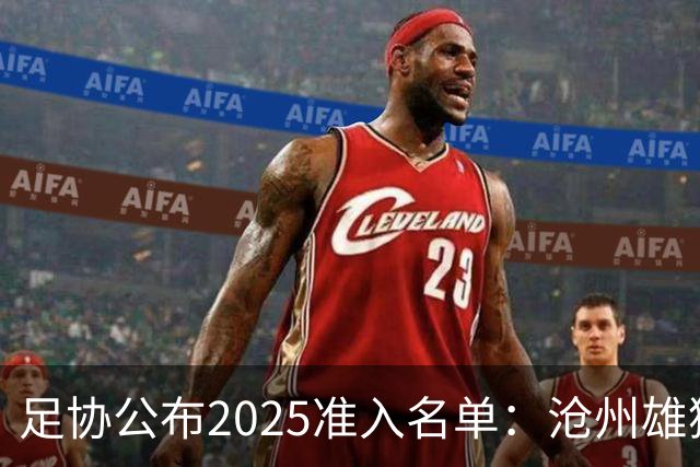 足协公布2025准入名单：沧州雄狮、广州队无缘